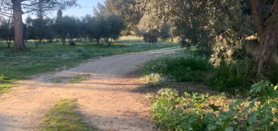 Terrain à bâtir à Saint-Chamas, Provence-Alpes-Côte d'Azur