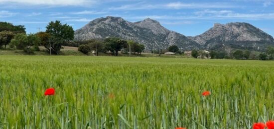 Terrain à bâtir à Sénas, Provence-Alpes-Côte d'Azur