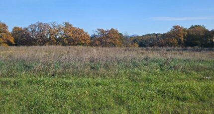 Châteauneuf-le-Rouge Maison neuve - 2017590-10197annonce520241203hTyvf.jpeg Azur & Constructions