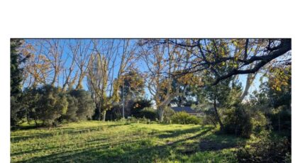 Maussane-les-Alpilles Maison neuve - 2045044-11175annonce520250108Pi1Jh.jpeg Azur & Constructions